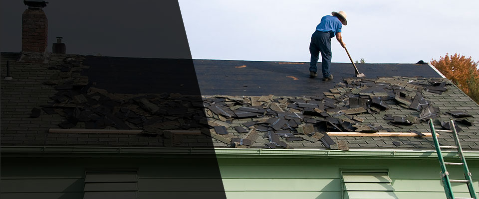 New Point Roofing Contractors